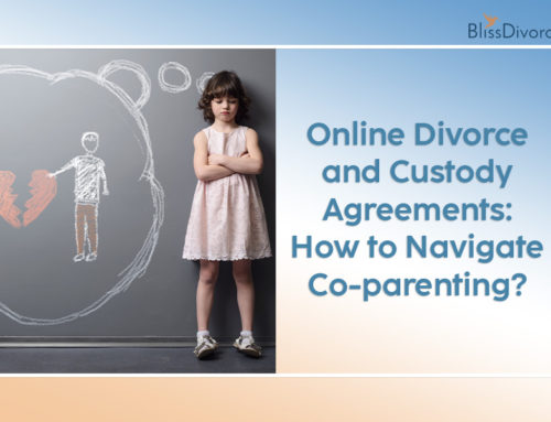 Online Divorce and Custody Agreements: How To Navigate Co-Parenting