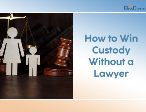 How to Win Custody Without a Lawyer?