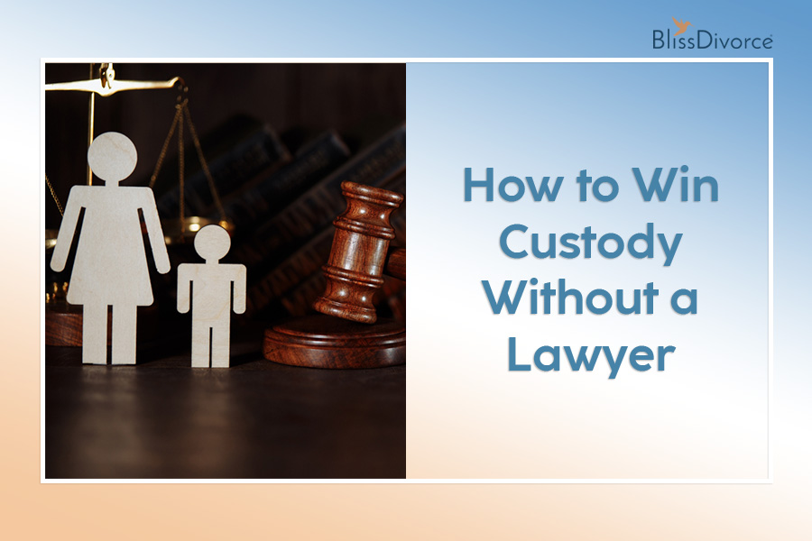 How-to-Win-Custody-Without-a-Lawyer