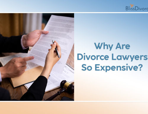 Why Are Divorce Lawyers So Expensive?